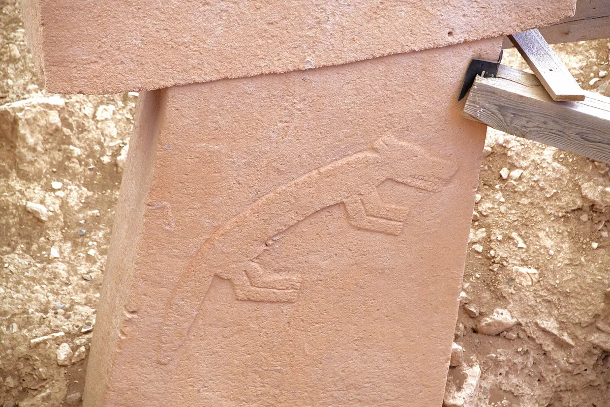 An animal relief carved on a T-shaped pillar at Göbekli Tepe, the kind of carving guides explain on Göbekli Tepe tours